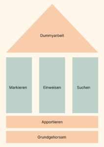 Blog Dummyarbeit komprimiert