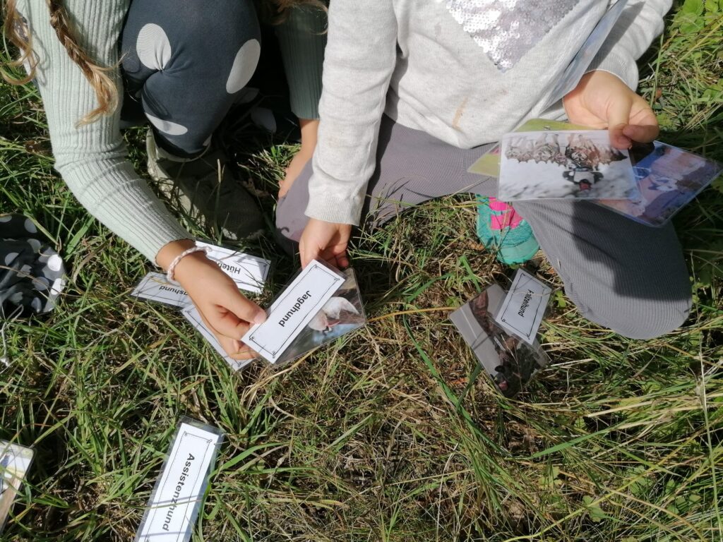 WhatsApp Bild 2025 08 04 um 17.22.58 1706589d